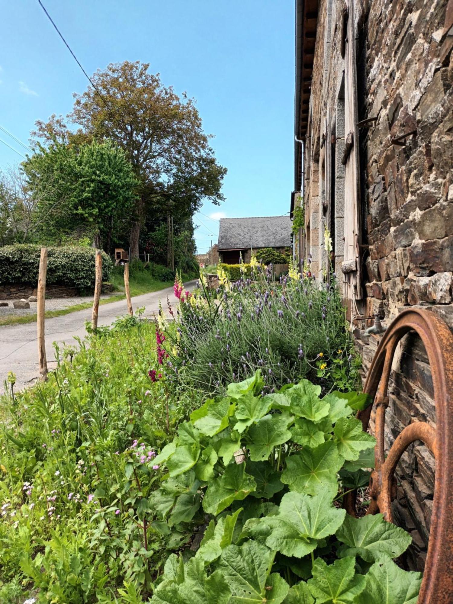 Agritourisme Abae Bed and Breakfast Sougéal Eksteriør billede